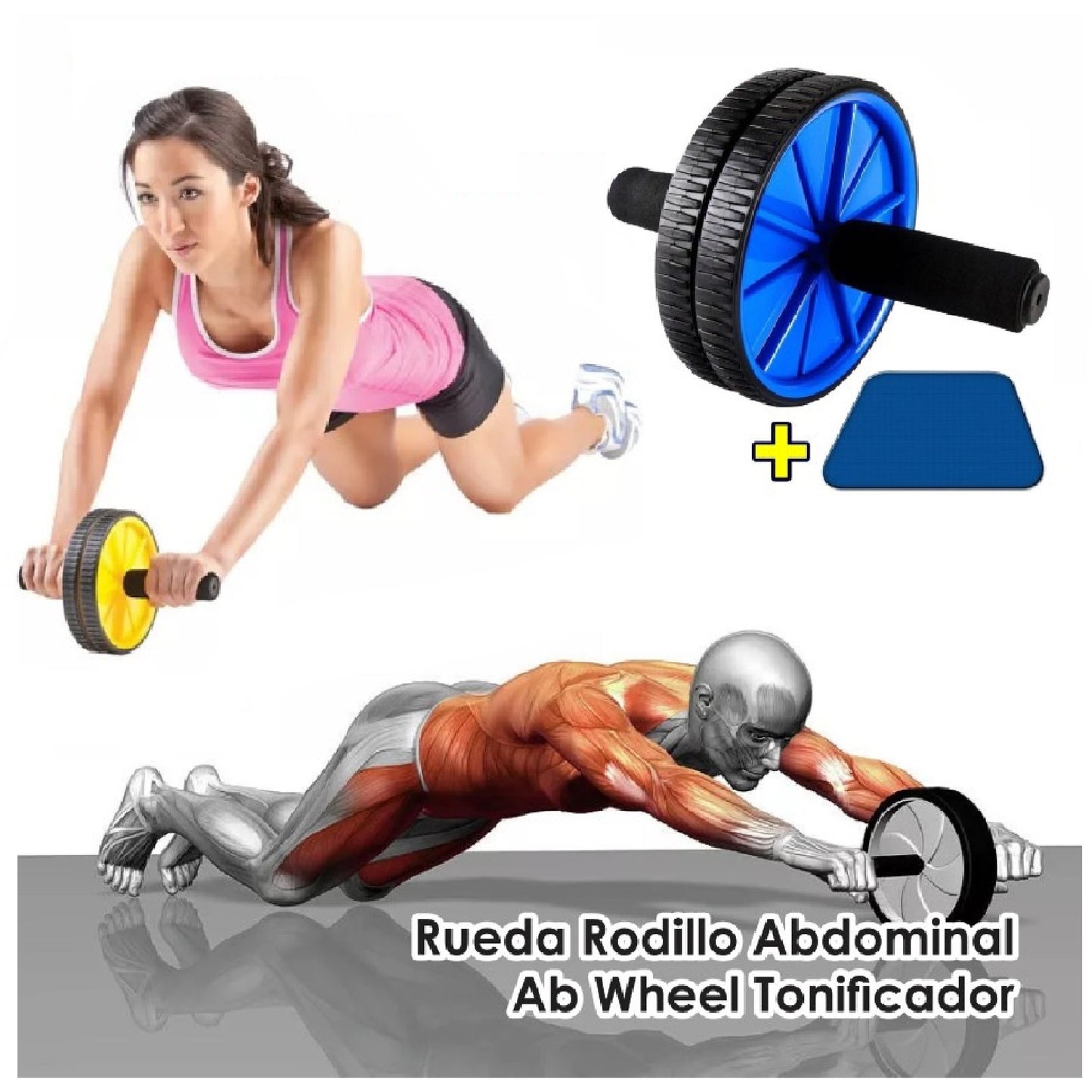 Combo Fitness Rueda + Bandas Elasticas