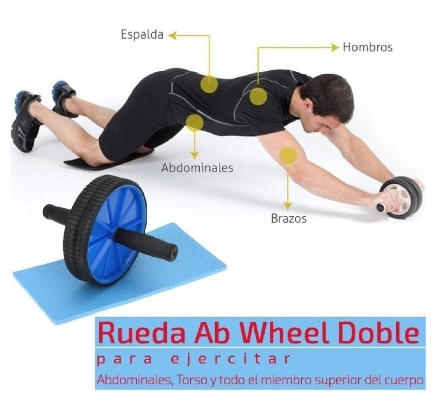 Combo Fitness Rueda + Bandas Elasticas